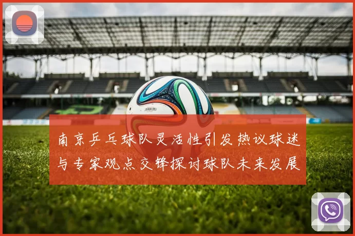 南京乒乓球队灵活性引发热议球迷与专家观点交锋探讨球队未来发展