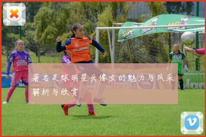 著名足球明星头像女的魅力与风采解析与欣赏
