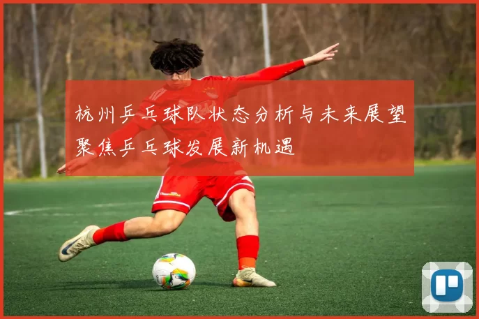 杭州乒乓球队状态分析与未来展望聚焦乒乓球发展新机遇