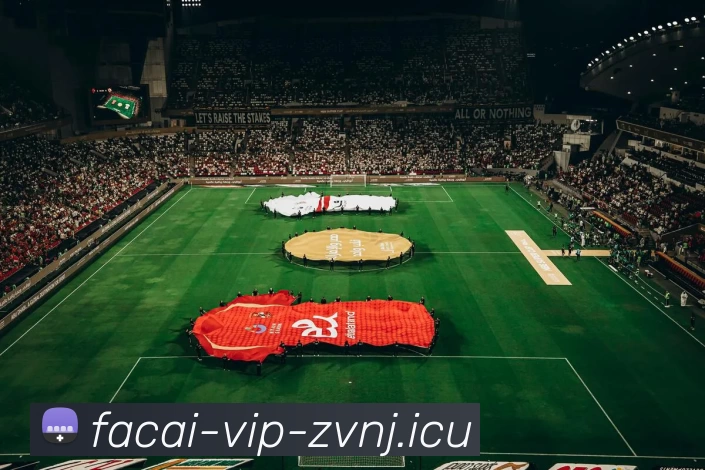 多媒体互动体验